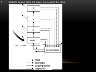 3   Study the diagram below and answer the questions that follow

                             C




                             B


        D

                             A




                          plants


        soil surface
                                           decomposers



                                 food
                                 excretion
                                 decomposition
                                 respiration
 