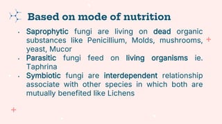 • Saprophytic fungi are living on dead organic
substances like Penicillium, Molds, mushrooms,
yeast, Mucor
• Parasitic fungi feed on living organisms ie.
Taphrina
• Symbiotic fungi are interdependent relationship
associate with other species in which both are
mutually benefited like Lichens
Based on mode of nutrition
 