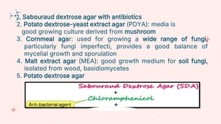1. Sabouraud dextrose agar with antibiotics
2. Potato dextrose-yeast extract agar (PDYA): media is
good growing culture derived from mushroom
3. Cornmeal agar: used for growing a wide range of fungi,
particularly fungi imperfecti, provides a good balance of
mycelial growth and sporulation
4. Malt extract agar (MEA): good growth medium for soil fungi,
isolated from wood, basidiomycetes
5. Potato dextrose agar
 