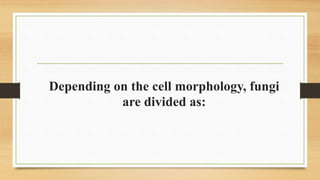 Depending on the cell morphology, fungi
are divided as:
 