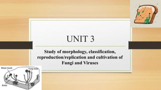 UNIT 3
Study of morphology, classification,
reproduction/replication and cultivation of
Fungi and Viruses
 