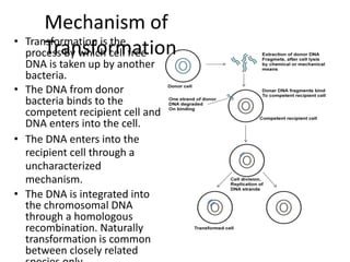 Unit 3 Gene Transfer Techniques.pdf