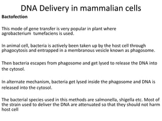 Unit 3 Gene Transfer Techniques.pdf