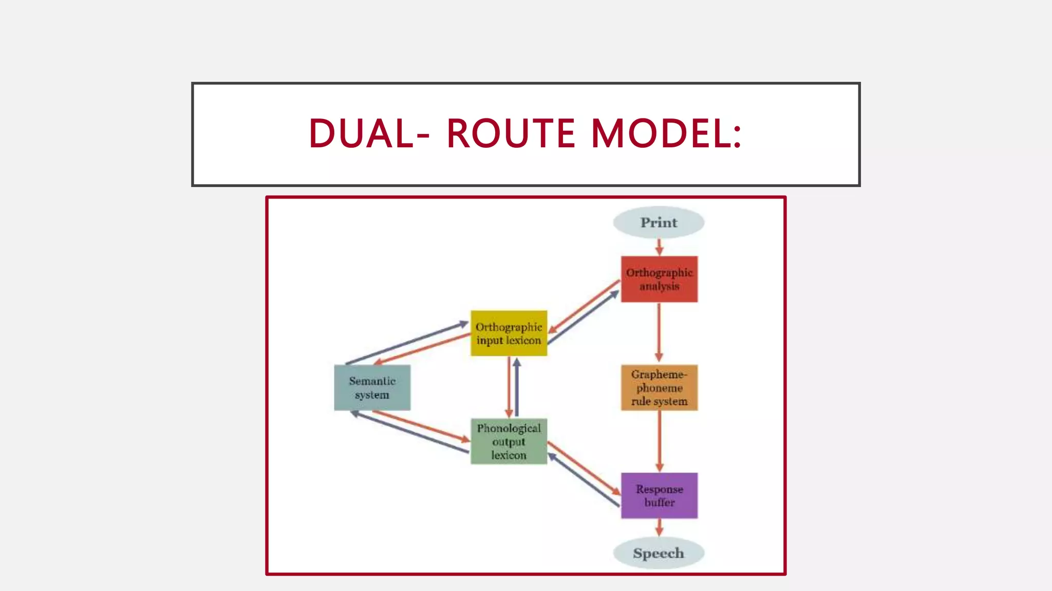 DUAL- ROUTE MODEL:
 
