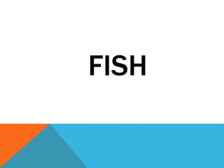 FISH
 