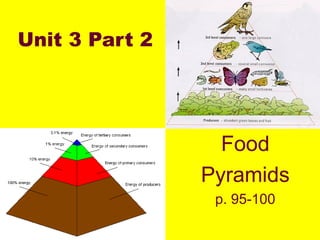 Unit 3 Part 2




                  Food
                Pyramids
                 p. 95-100
 