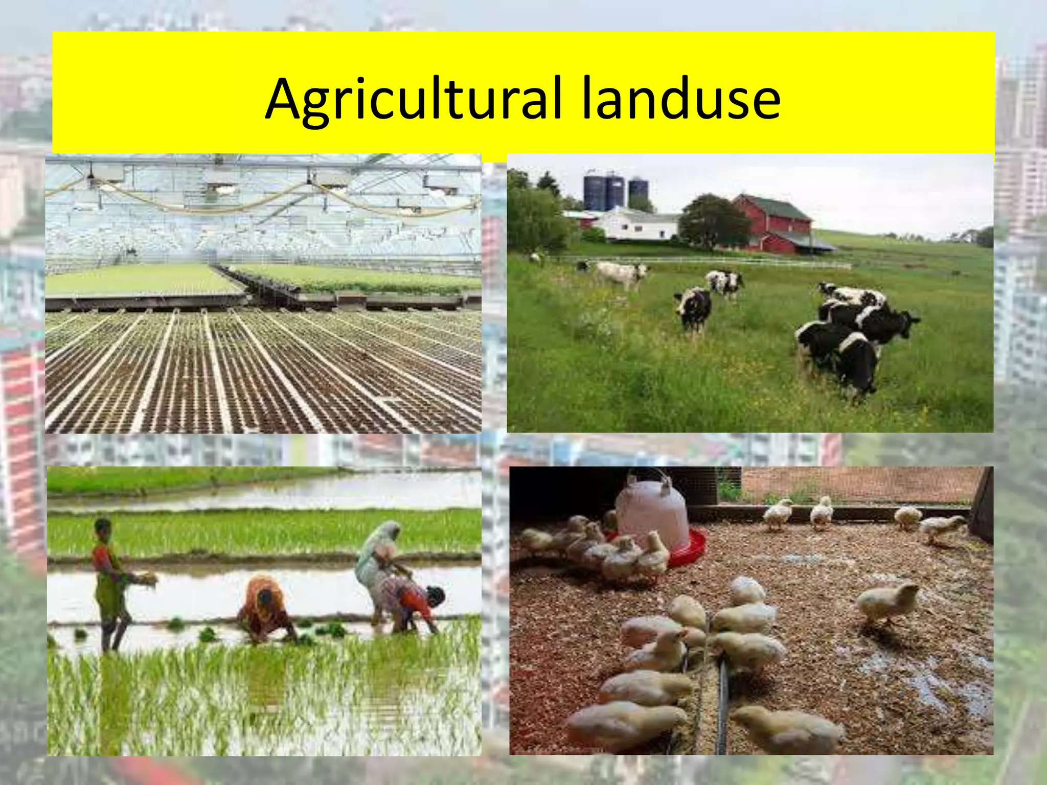 Agricultural landuse
 