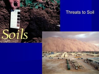 Threats to Soil
 