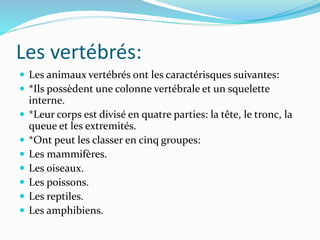 Les vertébrés:
 Les animaux vertébrés ont les caractérisques suivantes:
 *Ils possèdent une colonne vertébrale et un squelette
interne.
 *Leur corps est divisé en quatre parties: la tête, le tronc, la
queue et les extremités.
 *Ont peut les classer en cinq groupes:
 Les mammifères.
 Les oiseaux.
 Les poissons.
 Les reptiles.
 Les amphibiens.
 