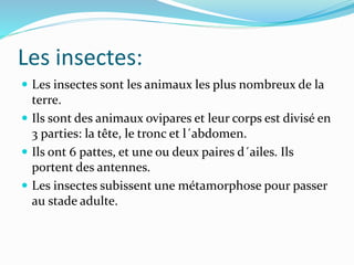 Les insectes:
 Les insectes sont les animaux les plus nombreux de la
terre.
 Ils sont des animaux ovipares et leur corps est divisé en
3 parties: la tête, le tronc et l´abdomen.
 Ils ont 6 pattes, et une ou deux paires d´ailes. Ils
portent des antennes.
 Les insectes subissent une métamorphose pour passer
au stade adulte.
 
