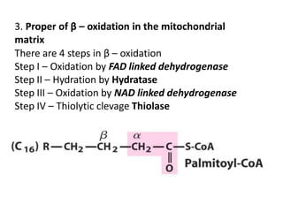 UNIT 3 Lipid metabolism fybpharm semester 2 | PPTX