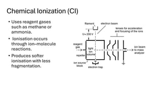 Comprehensive Overview of Mass Spectrometry: Principles ...