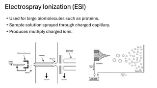 Comprehensive Overview of Mass Spectrometry: Principles ...