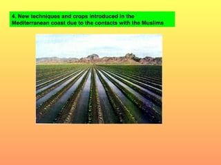 4. New techniques and crops introduced in the 
Mediterranean coast due to the contacts with the Muslims 
 