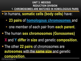  In humans, somatic cells (body cells) have:
• 23 pairs of homologous chromosomes and
• one member of each pair from each parent.
 The human sex chromosomes (Gonosomes)
X and Y differ in size and genetic composition.
 The other 22 pairs of chromosomes are
autosomes with the same size and genetic
composition.
UNIT 3: MEIOSIS
REDUCTION DIVISION
1. CHROMOSOMES ARE MATCHED IN HOMOLOGOUS PAIRS
© 2012 Pearson Education, Inc.
 