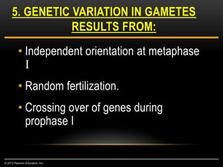 • Independent orientation at metaphase
I
• Random fertilization.
• Crossing over of genes during
prophase I
5. GENETIC VARIATION IN GAMETES
RESULTS FROM:
© 2012 Pearson Education, Inc.
 