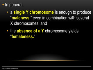  In general,
• a single Y chromosome is enough to produce
“maleness,” even in combination with several
X chromosomes, and
• the absence of a Y chromosome yields
“femaleness.”
© 2012 Pearson Education, Inc.
 