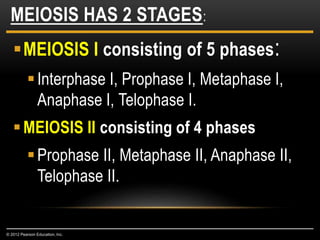 MEIOSIS I consisting of 5 phases:
Interphase I, Prophase I, Metaphase I,
Anaphase I, Telophase I.
MEIOSIS II consisting of 4 phases
Prophase II, Metaphase II, Anaphase II,
Telophase II.
MEIOSIS HAS 2 STAGES:
© 2012 Pearson Education, Inc.
 