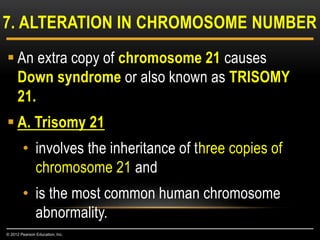  An extra copy of chromosome 21 causes
Down syndrome or also known as TRISOMY
21.
 A. Trisomy 21
• involves the inheritance of three copies of
chromosome 21 and
• is the most common human chromosome
abnormality.
7. ALTERATION IN CHROMOSOME NUMBER
© 2012 Pearson Education, Inc.
 