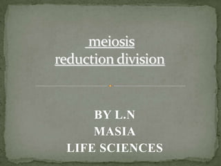 BY L.N
MASIA
LIFE SCIENCES

 