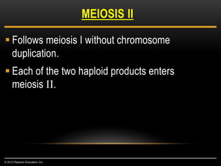  Follows meiosis I without chromosome
duplication.
 Each of the two haploid products enters
meiosis II.
MEIOSIS II
© 2012 Pearson Education, Inc.
 