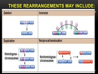 THESE REARRANGEMENTS MAY INCLUDE:
© 2012 Pearson Education, Inc.
Deletion
Duplication
Inversion
Reciprocal translocation
Homologous
chromosomes Nonhomologous
chromosomes
 