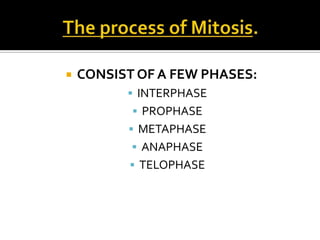  CONSIST OF A FEW PHASES:
 INTERPHASE
 PROPHASE
 METAPHASE
 ANAPHASE
 TELOPHASE
 