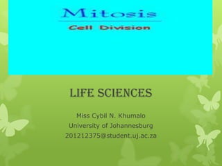 Life sciences
(

Miss Cybil N. Khumalo
University of Johannesburg
201212375@student.uj.ac.za

 