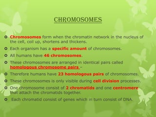 CHROMOSOMES
 Chromosomes form when the chromatin network in the nucleus of
the cell, coil up, shortens and thickens.
 Each organism has a specific amount of chromosomes.
 All humans have 46 chromosomes.
 These chromosomes are arranged in identical pairs called
homologous chromosome pairs –
 Therefore humans have 23 homologous pairs of chromosomes.
 These chromosomes is only visible during cell division processes.
 One chromosome consist of 2 chromatids and one centromere
that attach the chromatids together.
 Each chromatid consist of genes which in turn consist of DNA.

 