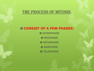 The process of Mitosis.

 CONSIST OF A FEW PHASES:
 INTERPHASE
 PROPHASE
 METAPHASE
 ANAPHASE
 TELOPHASE

 