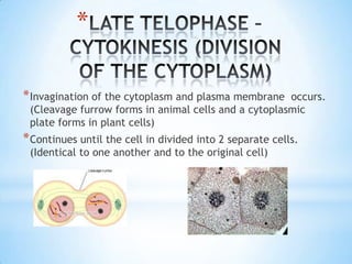 Cell Division - mitosis | PPTX