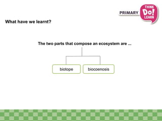 What have we learnt? 
The two parts that compose an ecosystem are ... 
biotope biocoenosis 
 