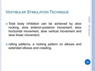 Vestibular Input Rocking Unit 3 NDT.pptx