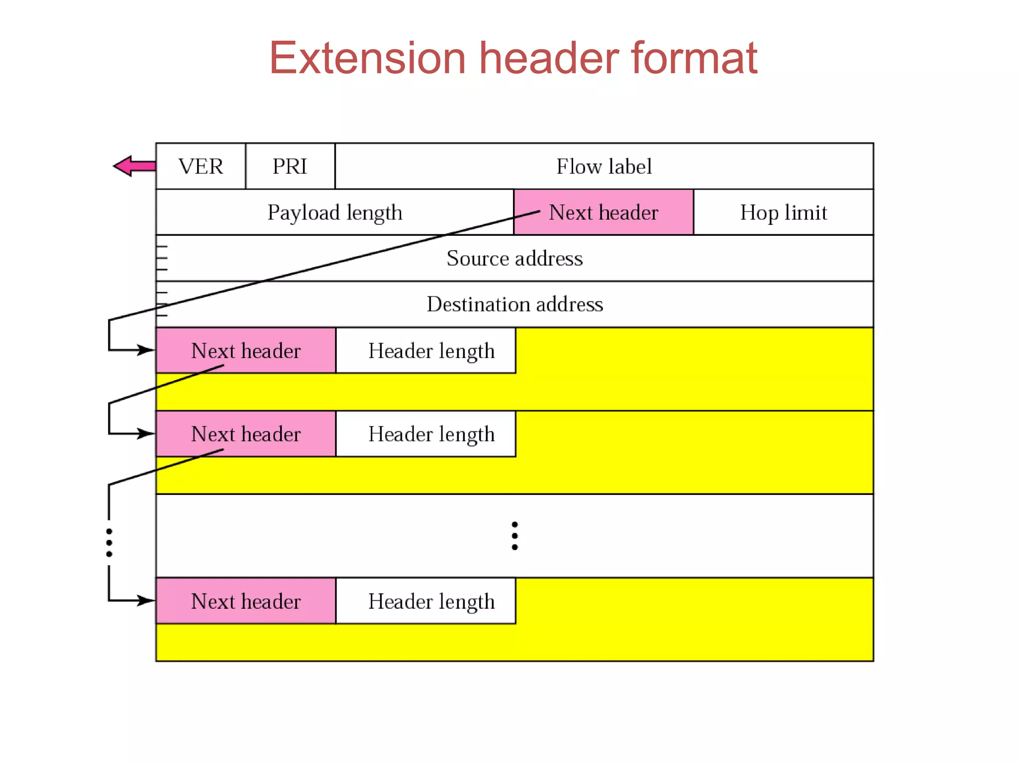 Extension header format
 