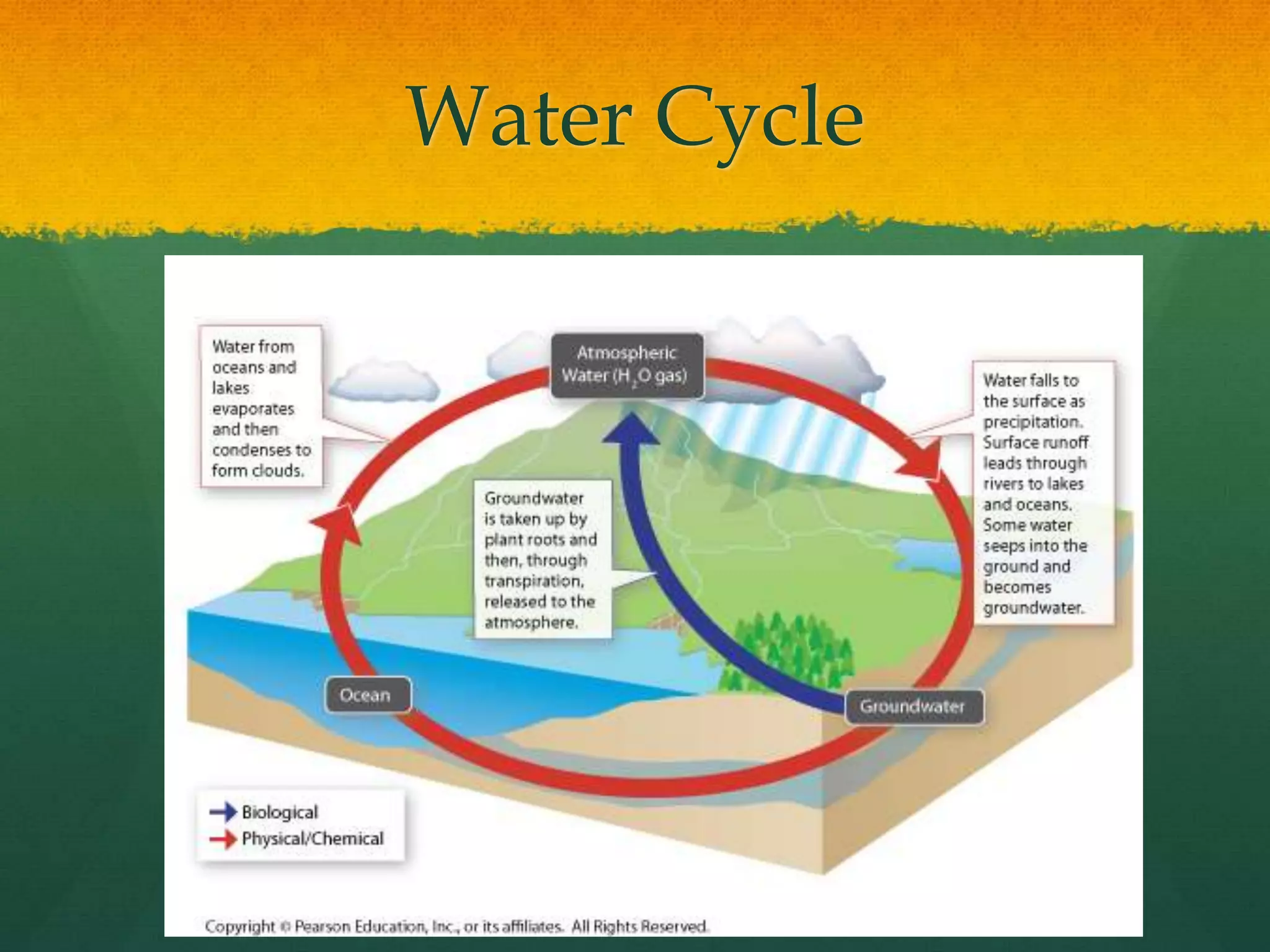 Water Cycle
 