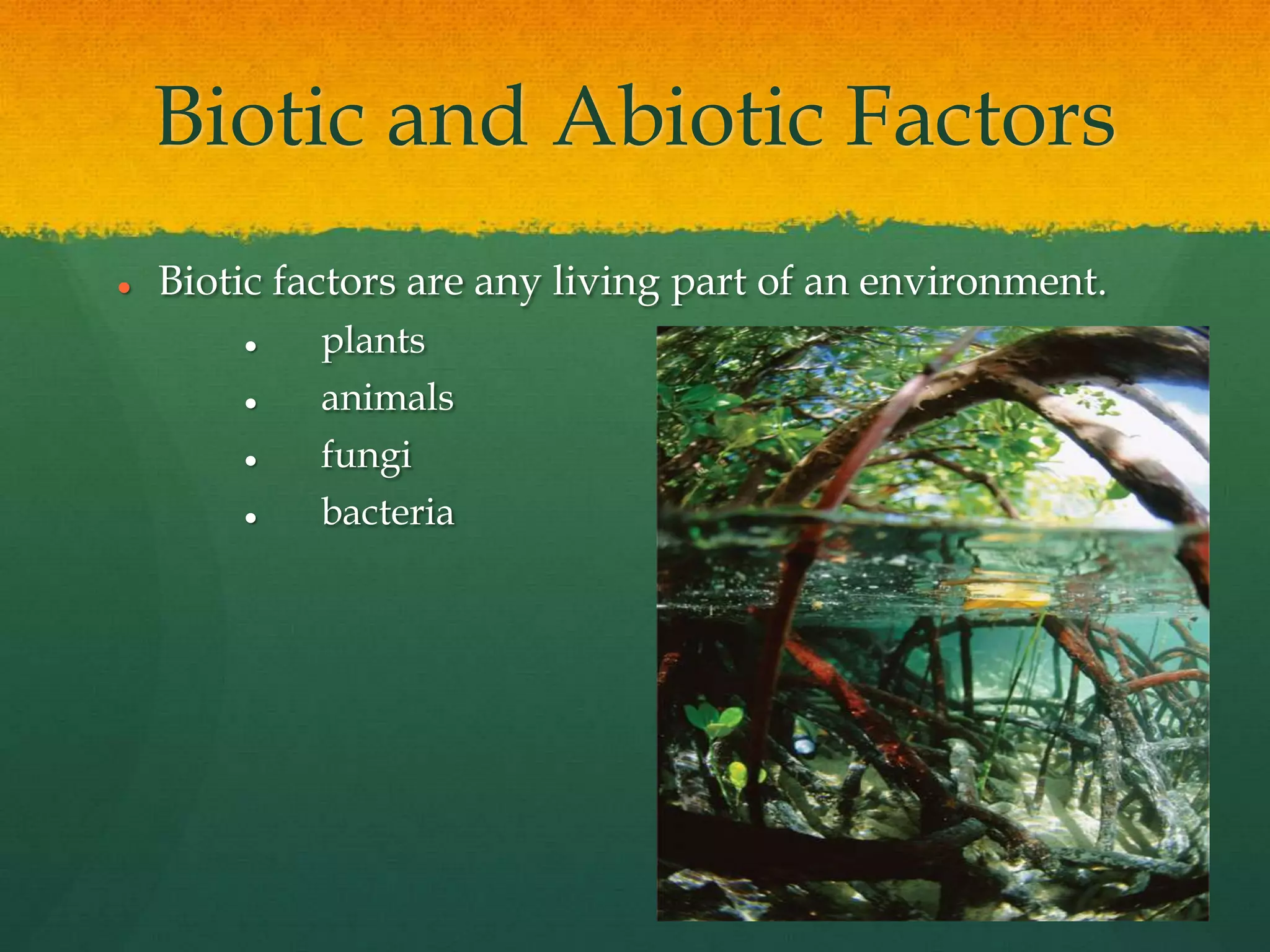 Biotic and Abiotic Factors
 Biotic factors are any living part of an environment.
 plants
 animals
 fungi
 bacteria
 