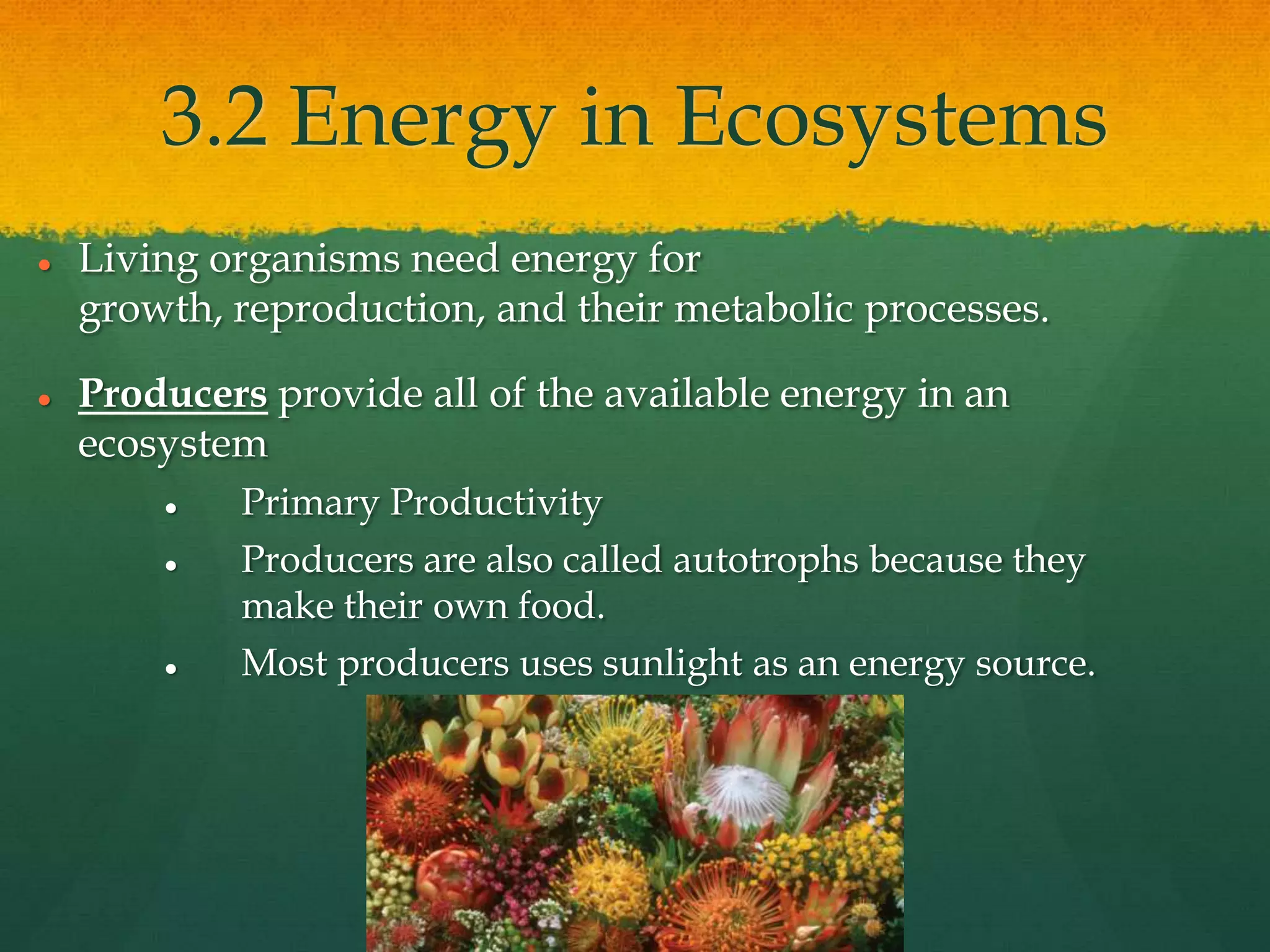 3.2 Energy in Ecosystems
 Living organisms need energy for
growth, reproduction, and their metabolic processes.
 Producers provide all of the available energy in an
ecosystem
 Primary Productivity
 Producers are also called autotrophs because they
make their own food.
 Most producers uses sunlight as an energy source.
 
