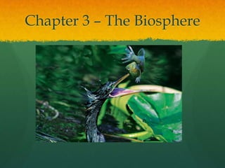 Chapter 3 – The Biosphere
 