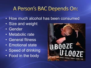 • How much alcohol has been consumed
• Size and weight
• Gender
• Metabolic rate
• General fitness
• Emotional state
• Speed of drinking
• Food in the body
 
