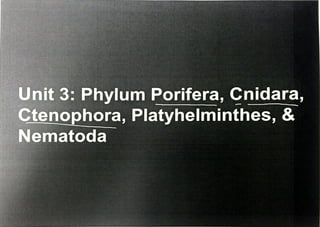 Unit 3 notes pdf. Porifera, Cnidara, and Ctenophora