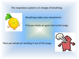 The respiratory system is in charge of breathing.

Breathing makes two movements :
First,we inhale air goes into to the lungs.

Then,we exhale air sending it out of the lungs.

 