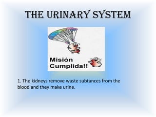 The urinary system

1. The kidneys remove waste subtances from the
blood and they make urine.

 