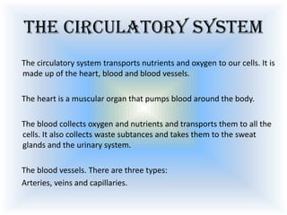 The circulatory system
The circulatory system transports nutrients and oxygen to our cells. It is
made up of the heart, blood and blood vessels.
The heart is a muscular organ that pumps blood around the body.
The blood collects oxygen and nutrients and transports them to all the
cells. It also collects waste subtances and takes them to the sweat
glands and the urinary system.
The blood vessels. There are three types:
Arteries, veins and capillaries.

 