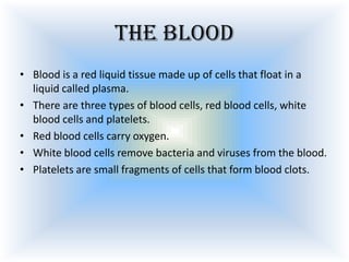 The blood
• Blood is a red liquid tissue made up of cells that float in a
liquid called plasma.
• There are three types of blood cells, red blood cells, white
blood cells and platelets.
• Red blood cells carry oxygen.
• White blood cells remove bacteria and viruses from the blood.
• Platelets are small fragments of cells that form blood clots.

 