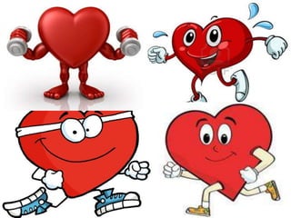 The heart
The heart uses rhytmic systole and diastole movements to
pump the blood around the body.
1. Blood enters the atria through the veins.
2. Passes to the ventricles.
3. Blood comes out of the ventricles, through the arteries.
4. Travels all over the body.

 