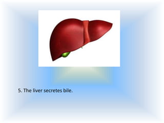 5. The liver secretes bile.

 