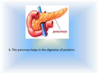 6. The pancreas helps in the digestion of proteins.

 