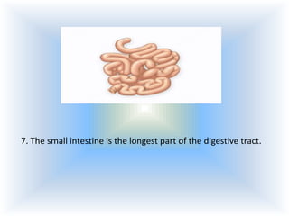7. The small intestine is the longest part of the digestive tract.

 