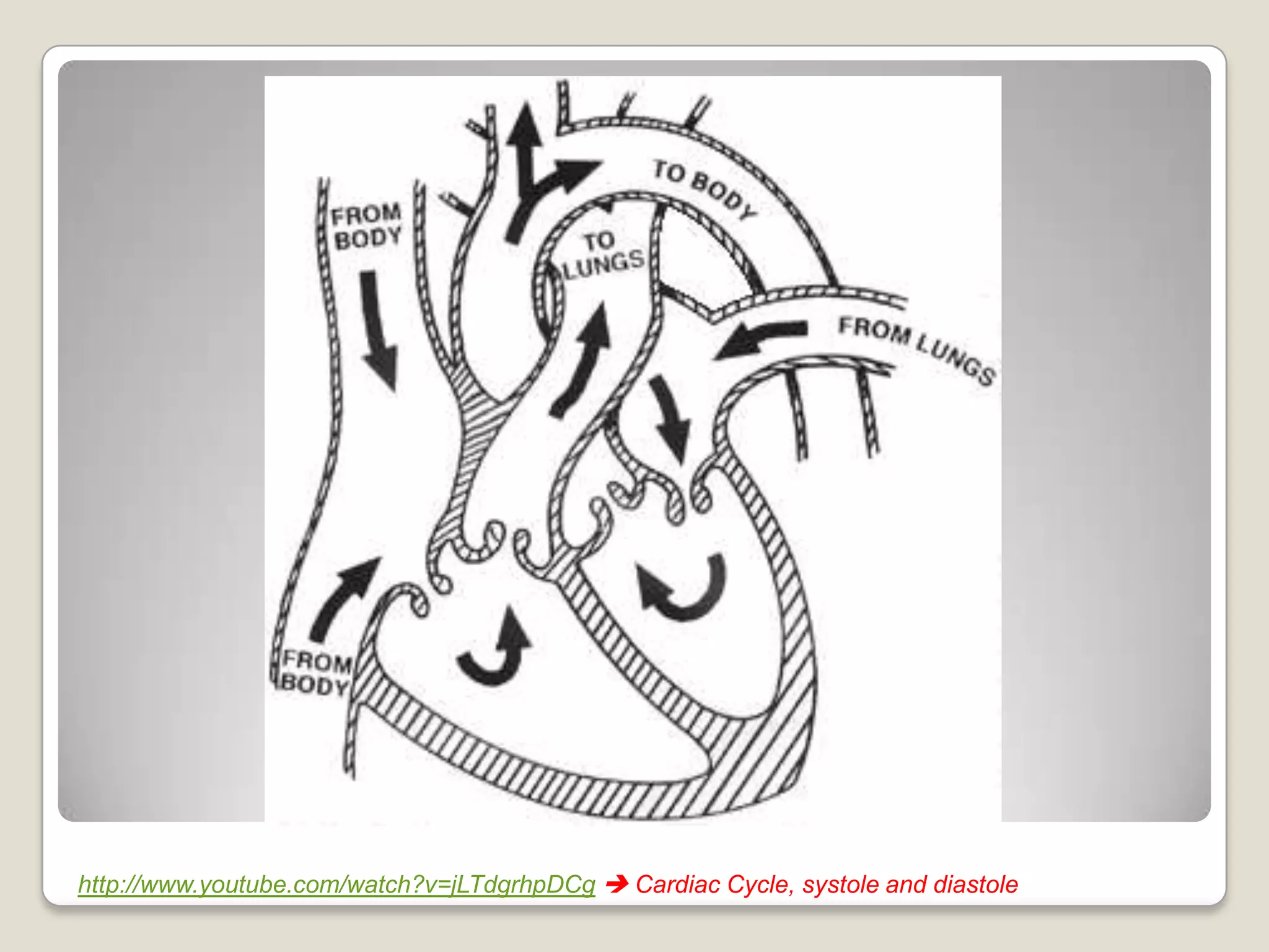 http://www.youtube.com/watch?v=jLTdgrhpDCg  Cardiac Cycle, systole and diastole

 