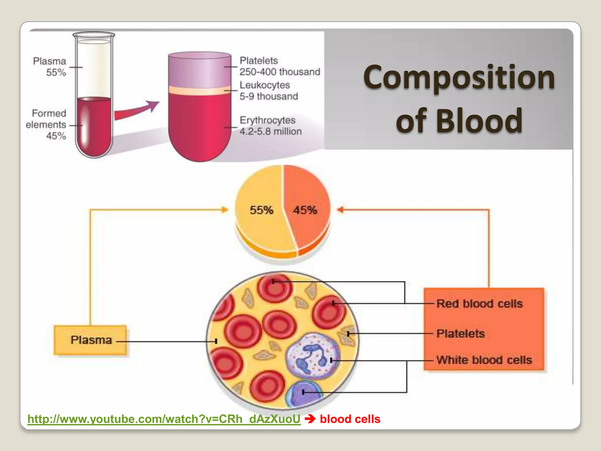 Composition
of Blood

http://www.youtube.com/watch?v=CRh_dAzXuoU  blood cells

 